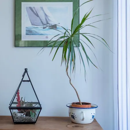 Centre - Quartier Gare & Petite France 