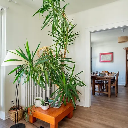 Centre - Quartier Gare & Petite France 